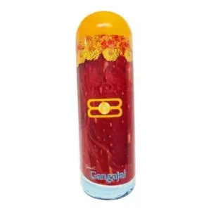 Gangajal 250ml